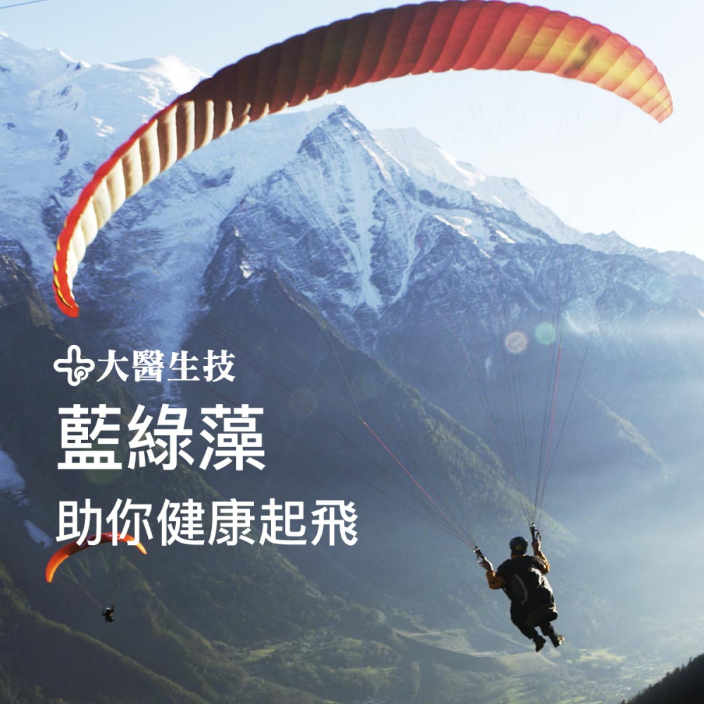 綠康鮮活極品綠藻錠